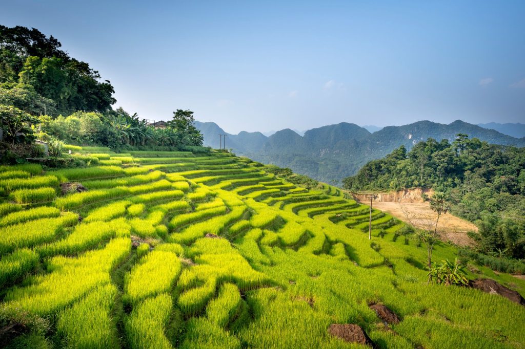 pu-luong-1-day-tour-2