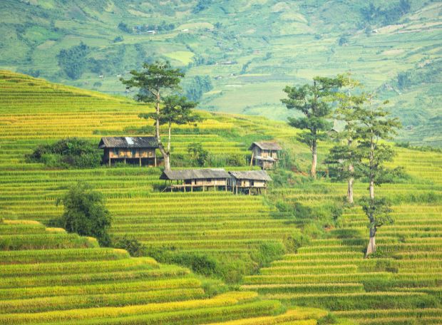 sapa-group-tour-3