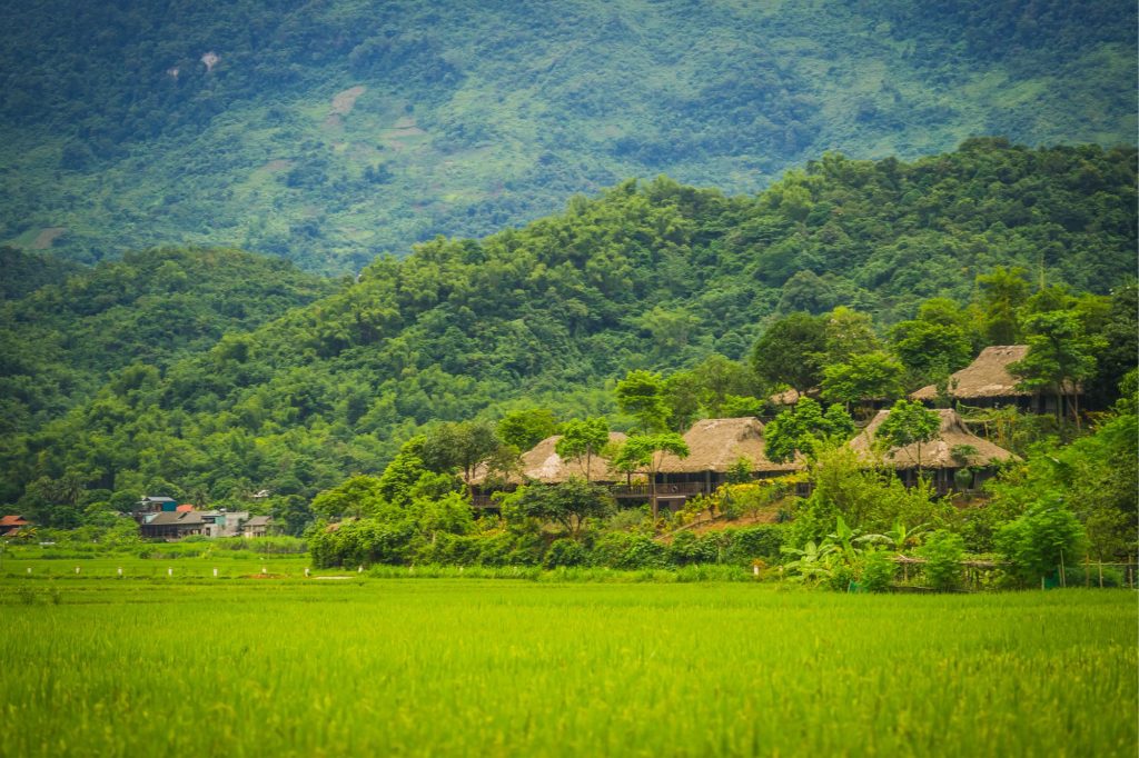 visit - Mai Chau